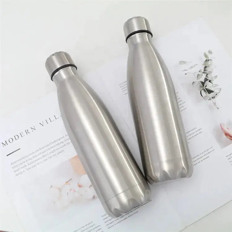 Stainless Steel Water Bottle