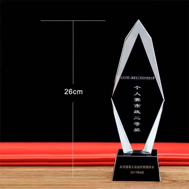 26cm Crystal Trophy Award - Perfect for Recognizing Achievements, featuring a modern open-frame design and black base for award ceremonies.