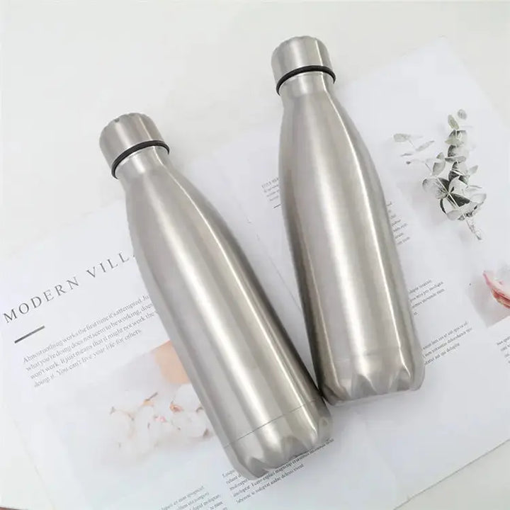 Stainless Steel Water Bottle