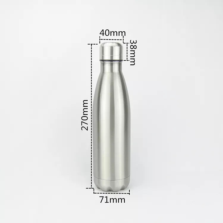 Stainless Steel Water Bottle